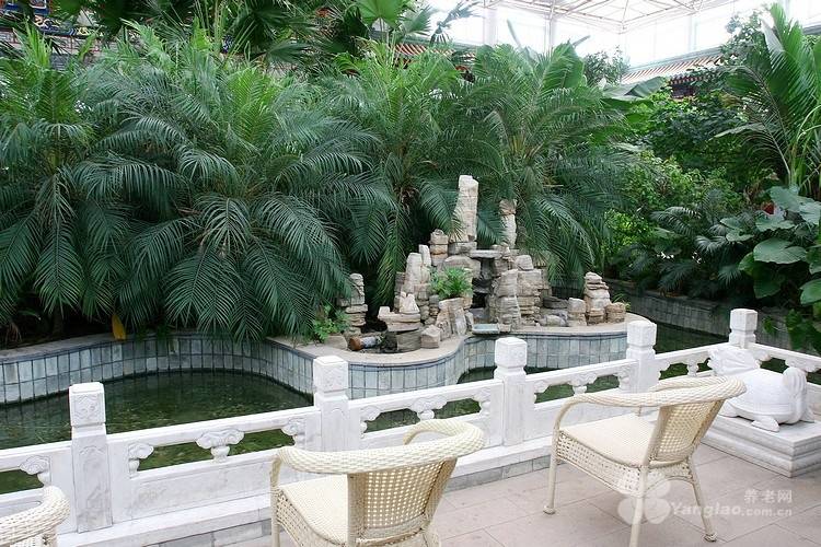 养老院2026详情：社交活动丰富让高龄老人有同龄玩伴不孤单AG真人国际游戏哪家养老院活动多能让父母不孤单？丰台民族(图67)